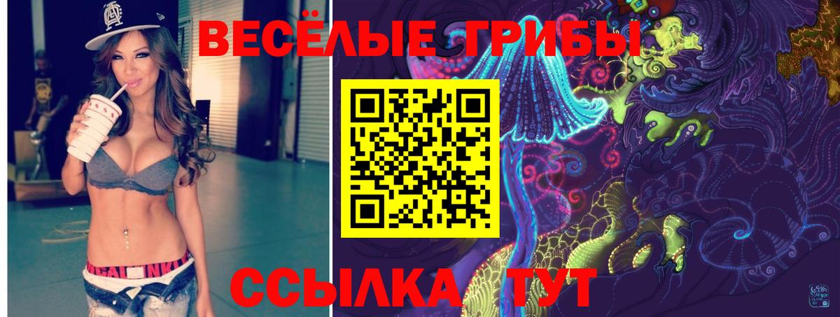 Псилоцибиновые грибы ЛСД Новодвинск