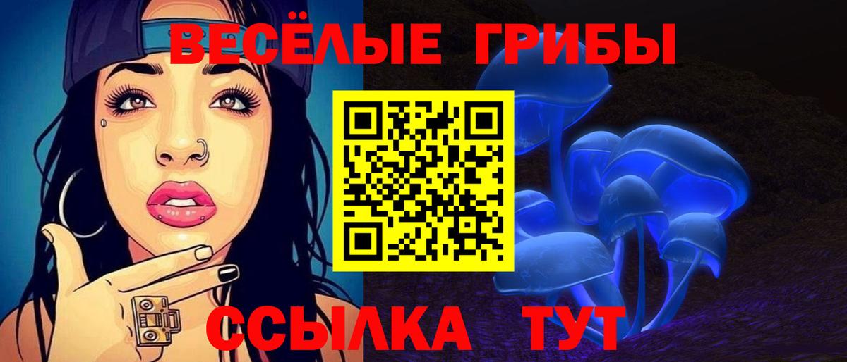 Новодвинск  Галлюциногенные грибы GOLDEN TEACHER  Вход с VPN 